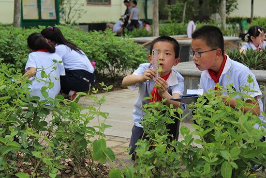 1652668291408313.jpg 劳动9.jpg