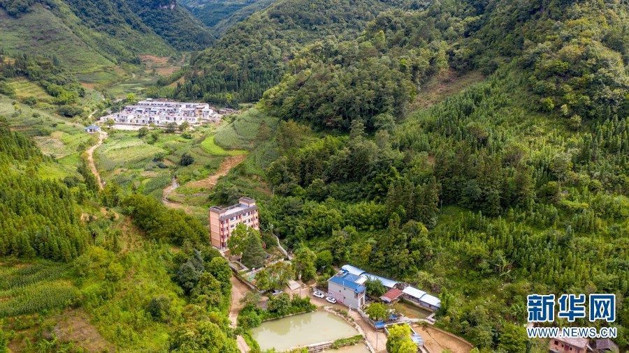 1658806702210177.png 2-3.png