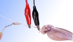 1774087590108510.png image.png